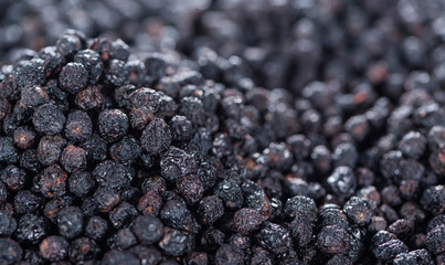 Chokeberries Background