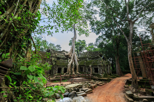 Ankor Bilder Durchsuchen 3,258 Archivfotos, und Videos