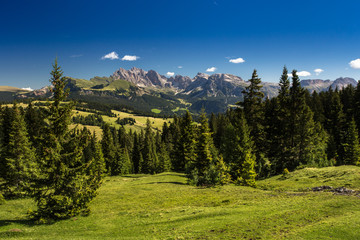 Alpe di Siusi (Dolomiti)