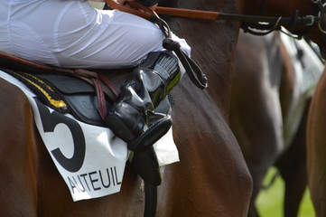 cheval de course