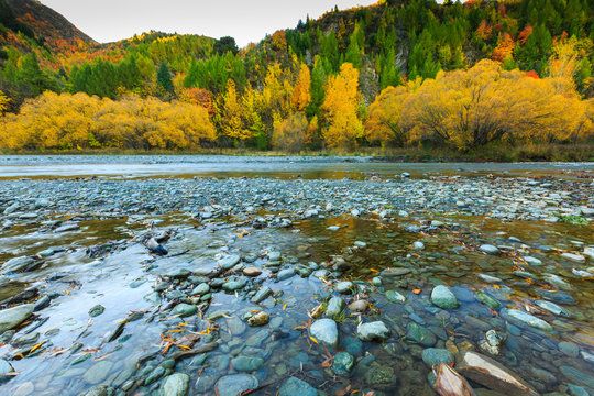 Golden Autumn in Arrowtown and river