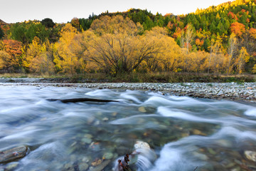 Golden Autumn in Arrowtown and river
