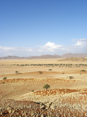 Namib Desert
