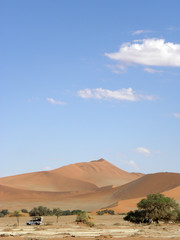 Fototapeta na wymiar Deadvlei / Sossusvlei Namib Desert
