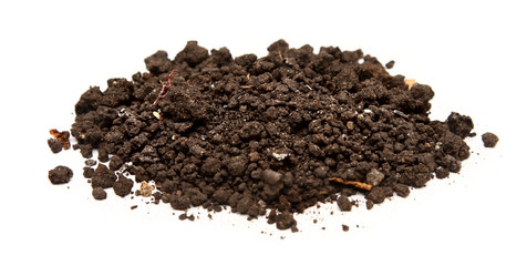 Handful of soil