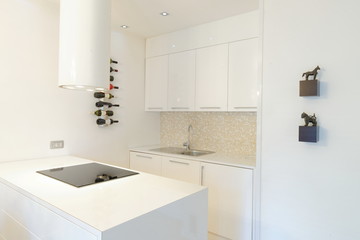 Fototapeta na wymiar Interior of stylish modern house, kitchen
