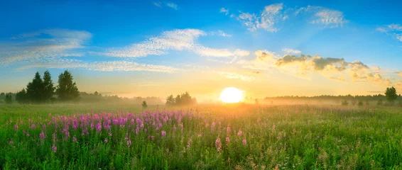 Fotobehang landscape with the sunrise, a blossoming meadow  panorama © yanikap