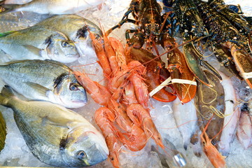 Seafood on ice at the fish market
