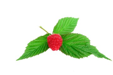 Raspberries With Leaves