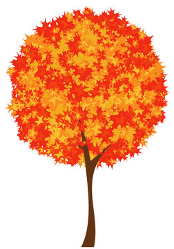 autumn season maple tree design