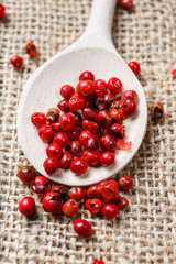 Spicy Red Pepper on wooden spoon