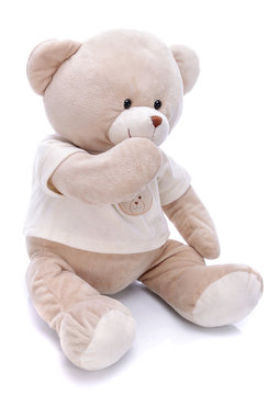 Teddy bear