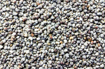 Poppy seeds background