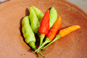Chilli peppers