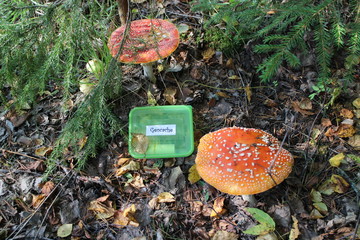 geocache © Lasse Hendriks