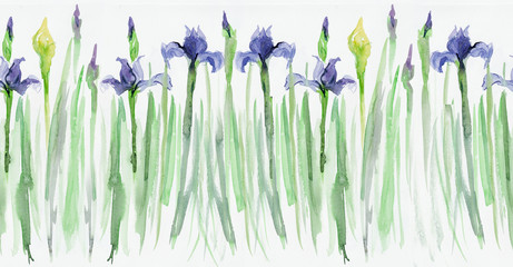 Fototapeta na wymiar Seamless floral borders. Stripe with irises