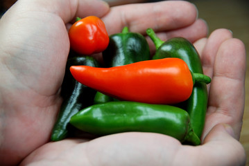 Handful of small bell peppers