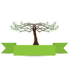 Obraz premium Vector olive tree green background