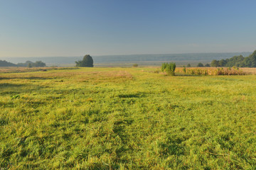 Утро за селом