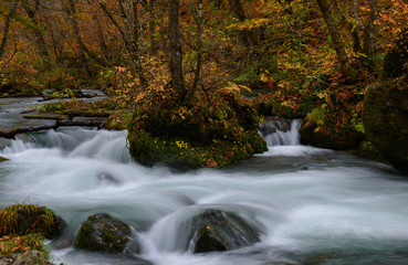 Oirase gorge in Autumn, in Aomori, Japan