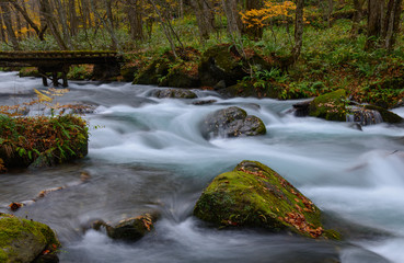 Oirase gorge in Autumn, in Aomori, Japan