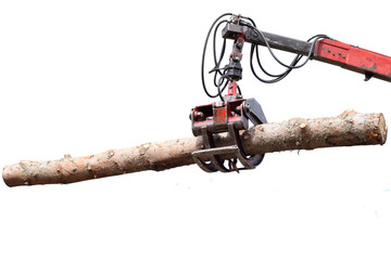 Jaws of a crane loading logs, isolated