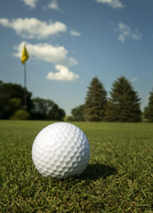 Golf Ball on Green