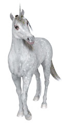Fototapeta na wymiar White Unicorn
