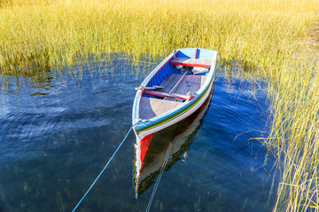 Obraz premium Colorful Boat and Reeds