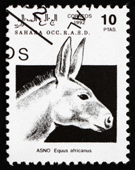 Postage stamp Sahara 1992 African Wild Donkey