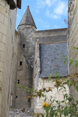 Indre et Loire - Loches - Donjon - Tour Louis XI