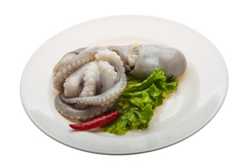 Raw octopus