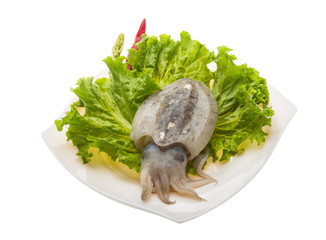 Raw cuttlefish