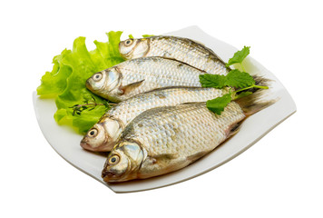 Crucian fish