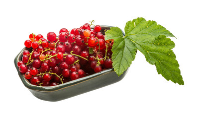 Red currant