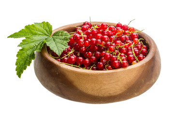 Red currant
