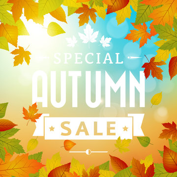 special autumn sales business background