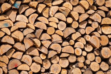 Stack of dried firewood of birch wood