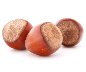 hazelnut or filbert nut isolated on white background cutout