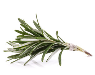 Fototapeta premium rosemary herb spice leaves isolated on white background cutout