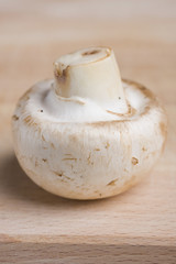White mushroom on a wooden background