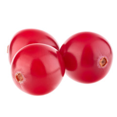 cranberry  isolated on white background cutout