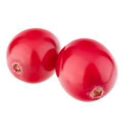 cranberry  isolated on white background cutout