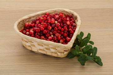 Cowberry