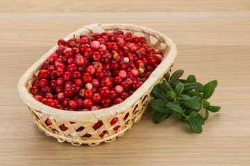 Cowberry