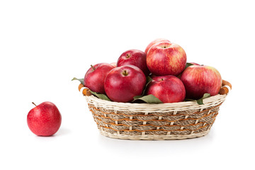 many apples in the basket close up