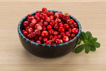 Cowberry