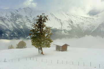 Szwajcaria , Alpy, Axalp - obrazy, fototapety, plakaty
