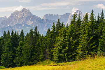 View from Mt. Dreilaendereck