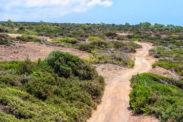 Fototapeta na wymiar Cyprus rural landscape